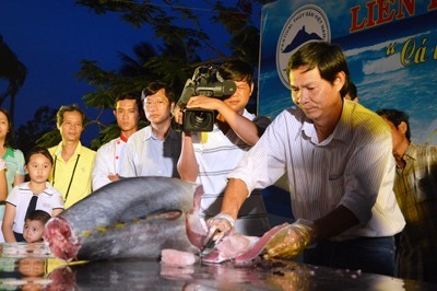 Forum über die Verarbeitung von Thunfisch - ảnh 1